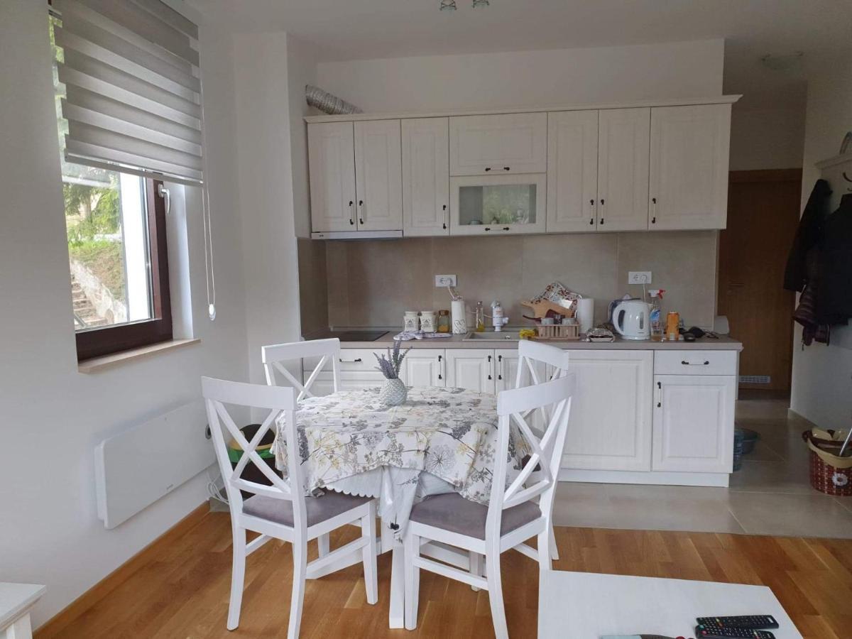 Vila Irina - Apartman Milos كوباونيك المظهر الخارجي الصورة