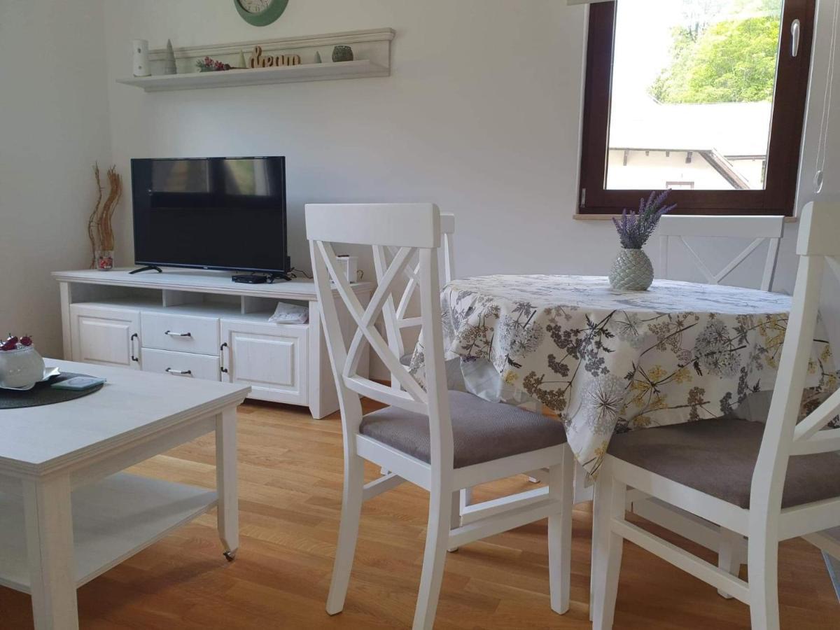 Vila Irina - Apartman Milos كوباونيك المظهر الخارجي الصورة